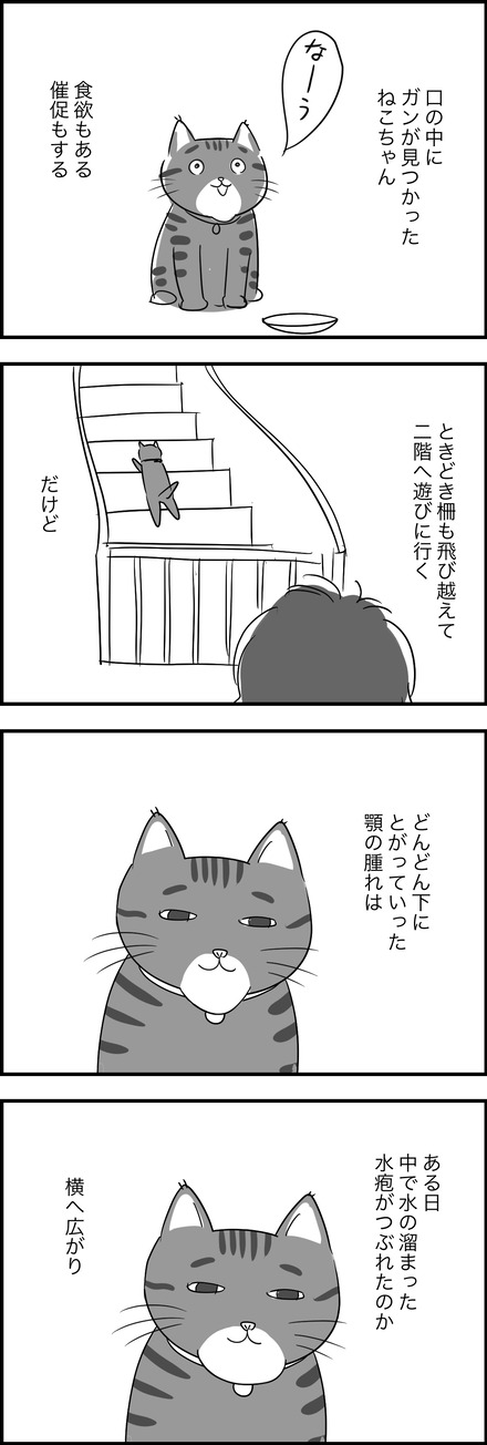 June032024どーする
