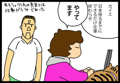 lexus6-6
