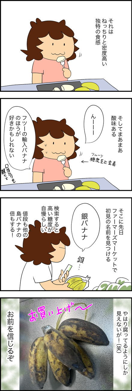 aug112026-2銀バナナ