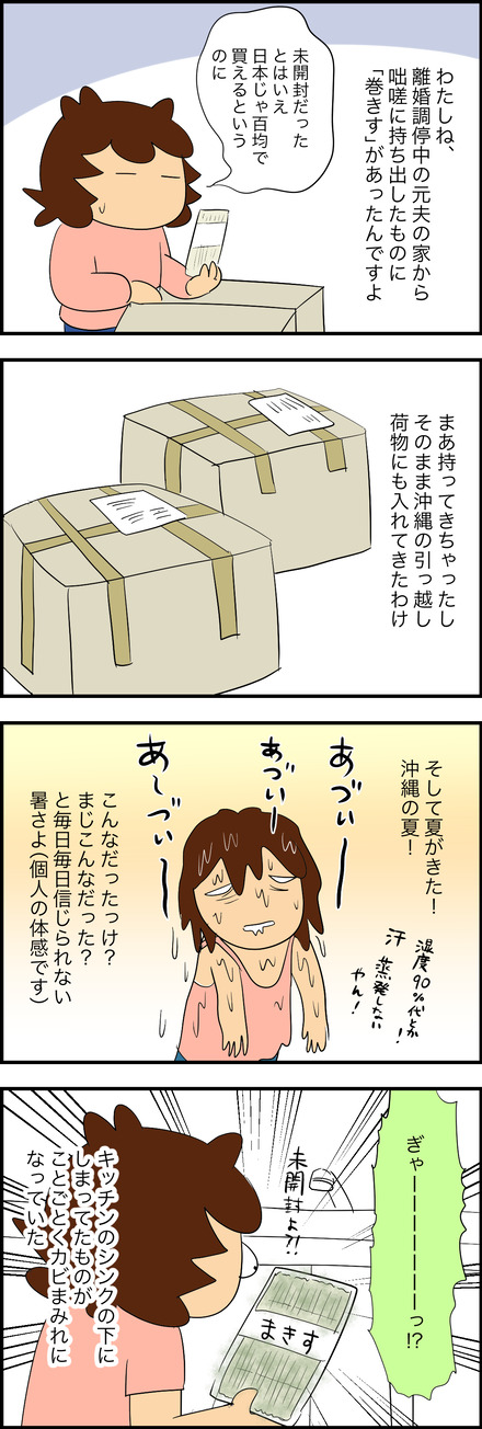 dec302025-1巻き簾