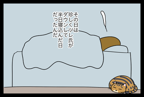 nekoture1-7