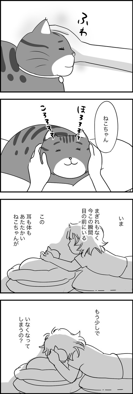 apl282024-1どーする