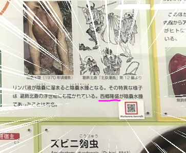 関東12