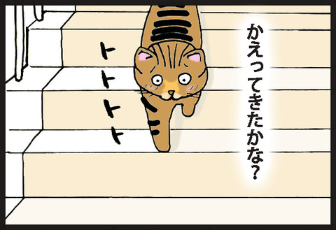 tadaimaneko2-6