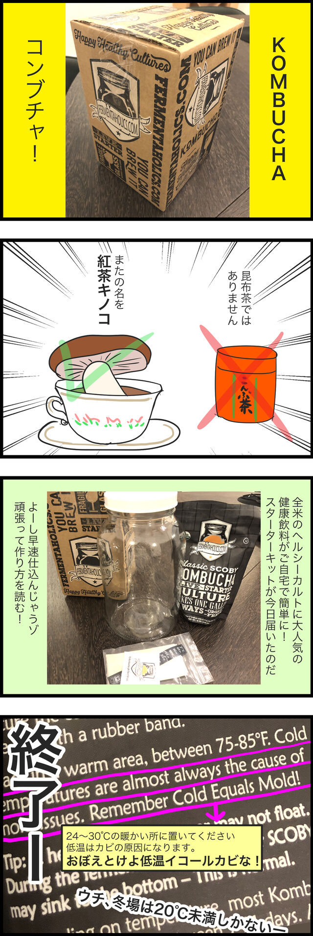 菌活 腸活 免活 21年 コンブチャ 紅茶キノコ スターターキット 蓼食う虫もテキサス Powered By ライブドアブログ