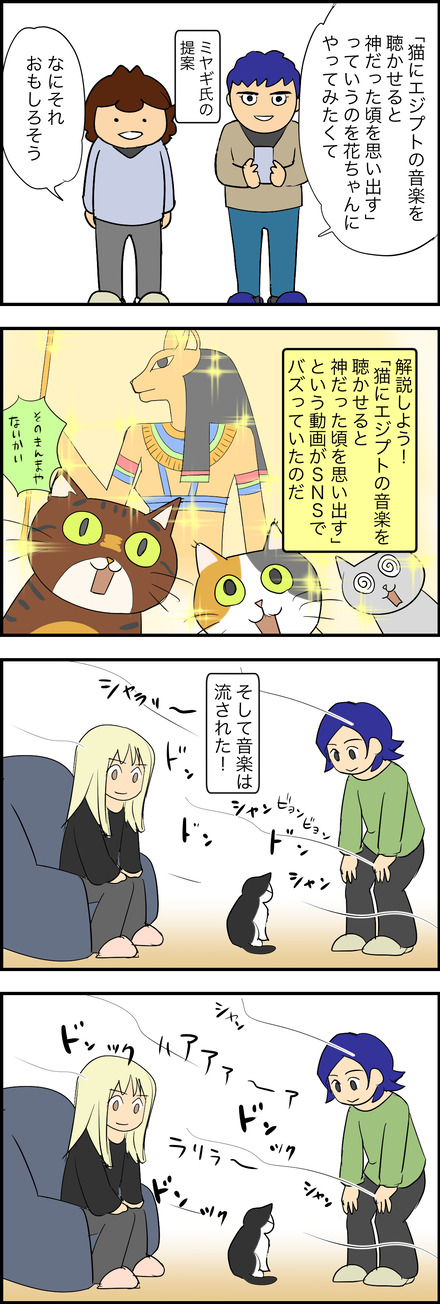 mar252026-1エジプト