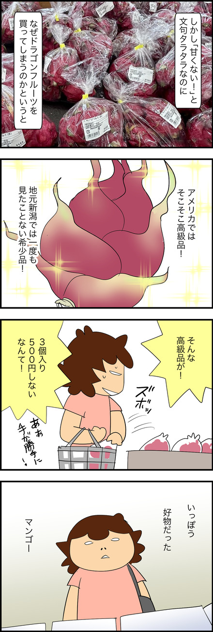 aug252026-1マンゴー