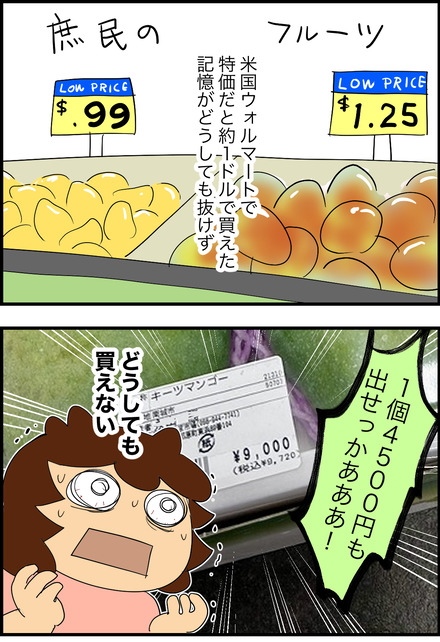 aug252026-2マンゴー