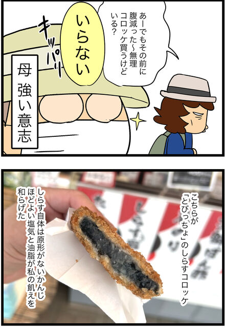 jul012023-4しらす