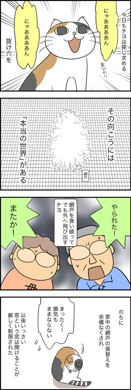 march022025-1チヨ