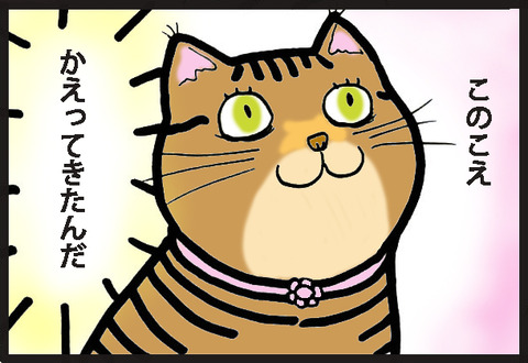tadaimaneko2-16