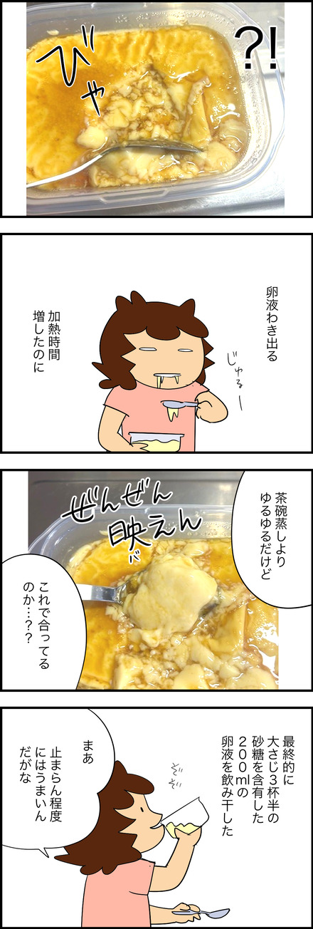 aug112025-4プリン