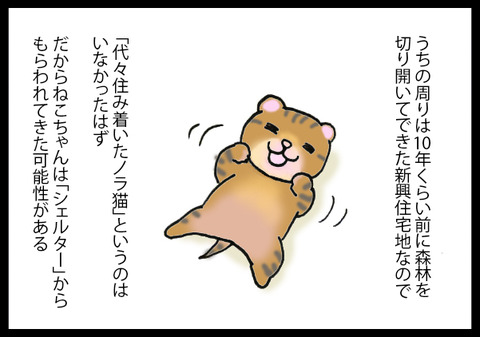 nekochanhimitsu4-2