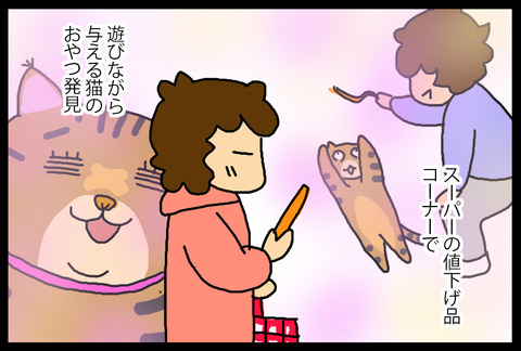 nkochanoyatsu1-1