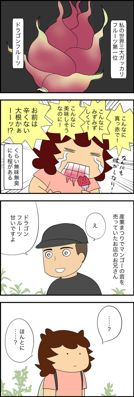 nov062025-1ドラゴンフルーツ