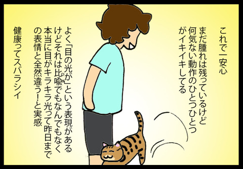 nekochanpinch2-6