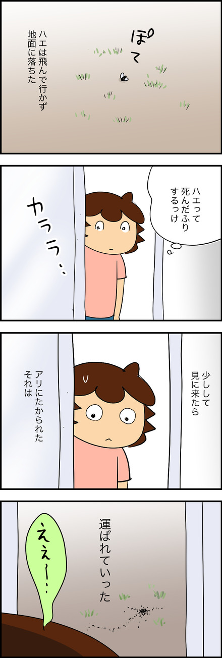 mar302025-3ハエ