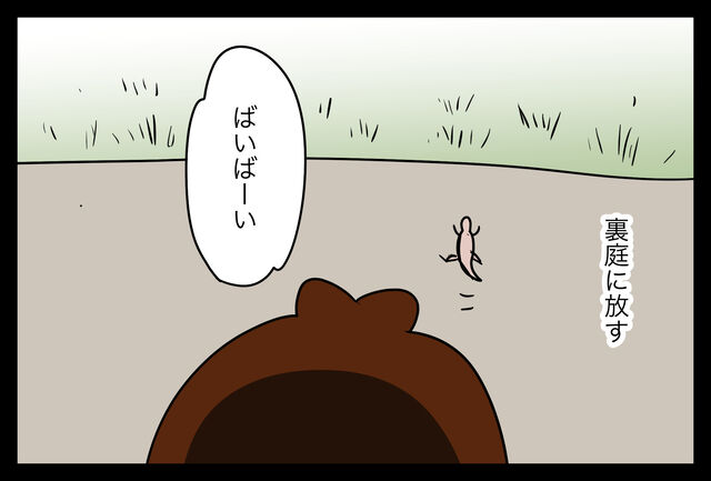 トカゲくん 食物連鎖 命の循環 蓼食う虫もテキサス Powered By ライブドアブログ トカゲくん 食物連鎖 命の循環 蓼食う虫もテキサス Powered By ライブドアブログ