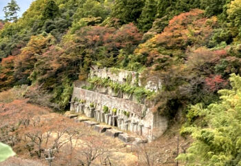 6564DB37-2A11-4C55-9220-7B43EA9C3550_1_105_c