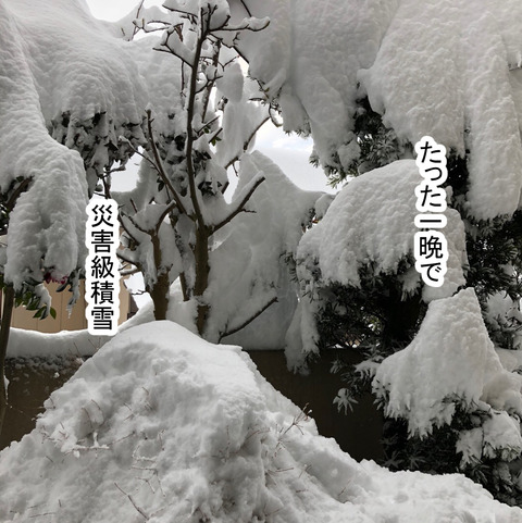 snow2-2
