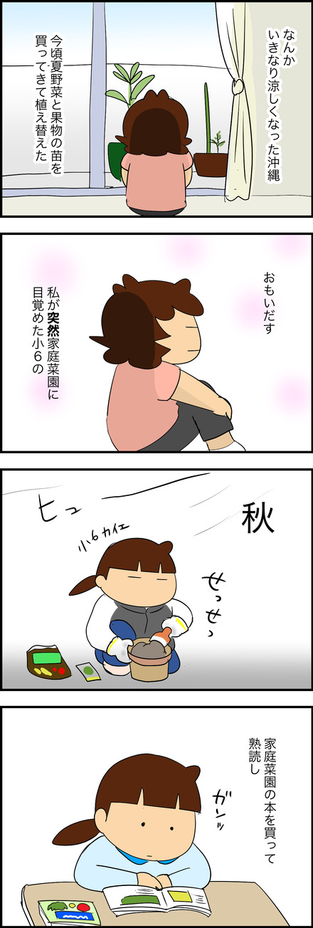 oct292025-1家庭菜園