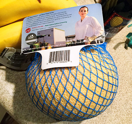 melon2