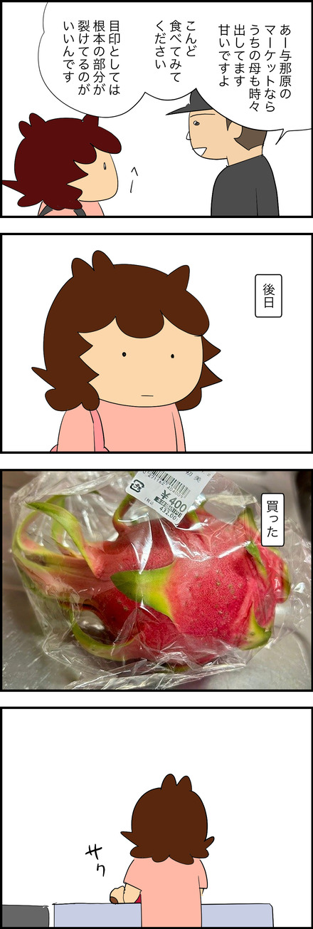 nov062025-2ドラゴンフルーツ