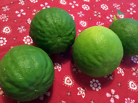 lemon2kisaku