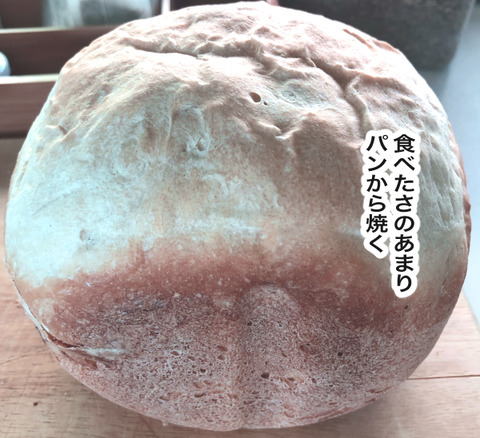 F507D67A-4797-4CB4-AAC0-B06A2D579CE3