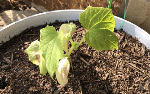 885E8855-6362-471A-A8A7-F4E260A2B9EC