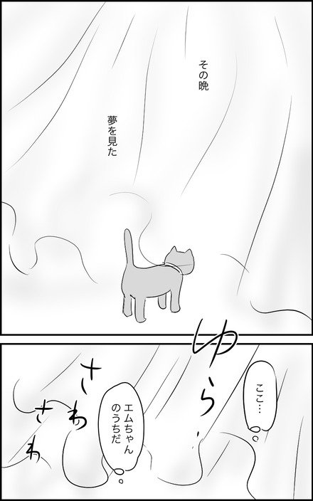 jan082025-3どーする