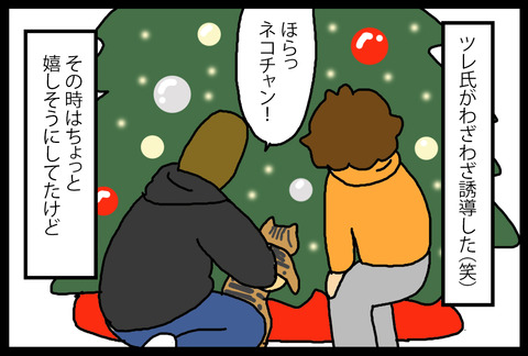 xmastree1-4