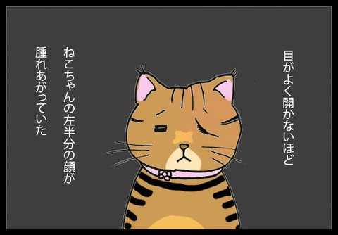 nekochanpinch1-4