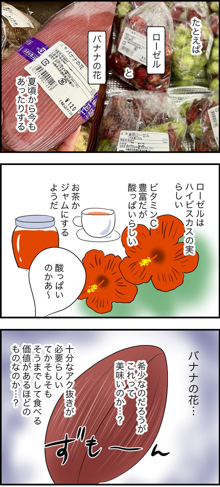 dec282025-2沖縄野菜