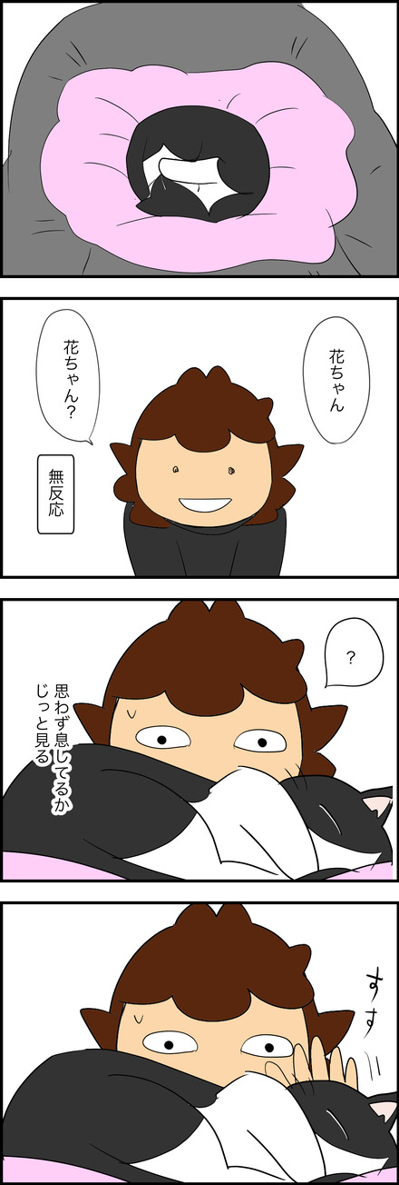 mar242026-2花ちゃん