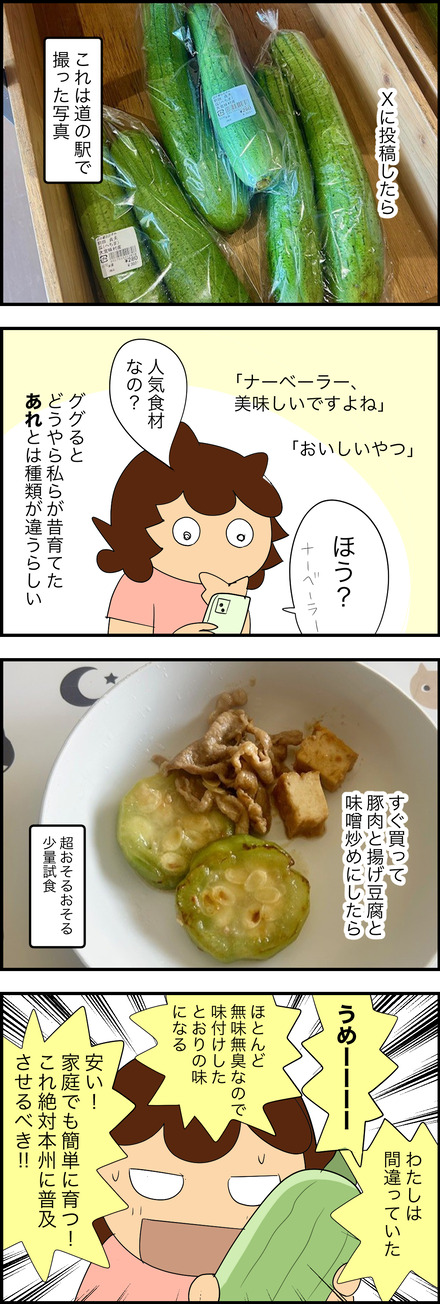 oct242025-2ヘチマ