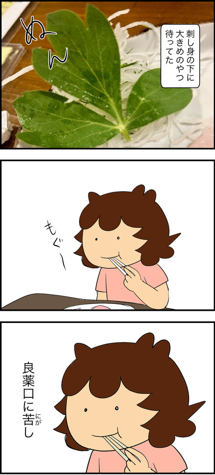 jan232026-2長命草