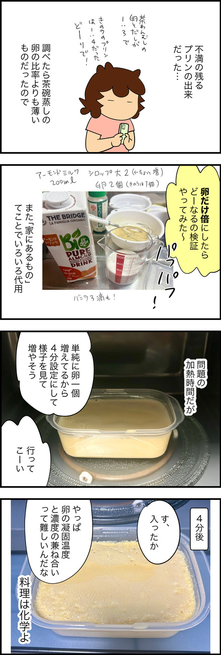 aug132025-1プリン