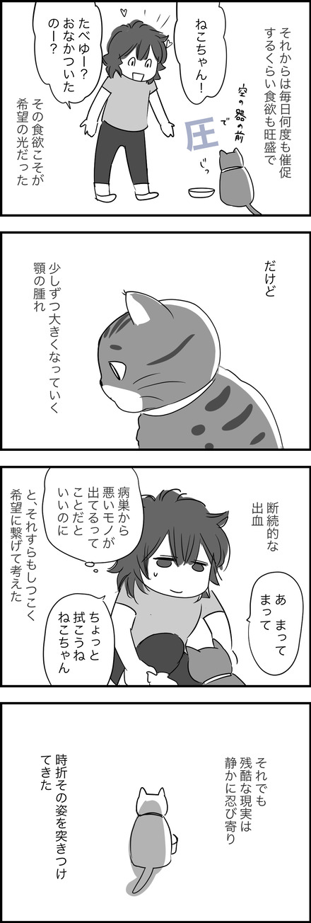 apl162024-2どーする