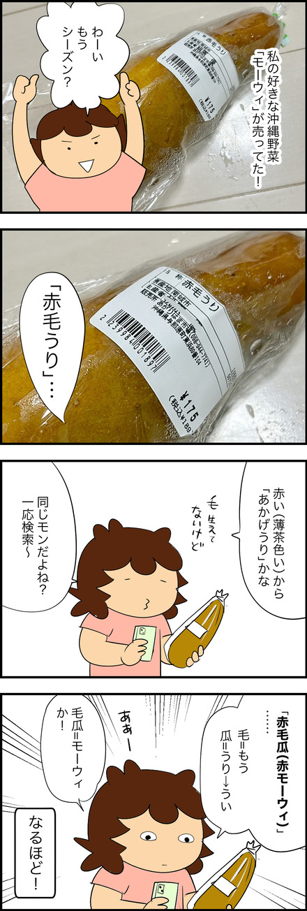 apl292026-1モーウイ