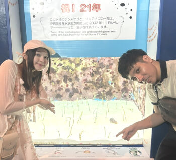 美ら海1