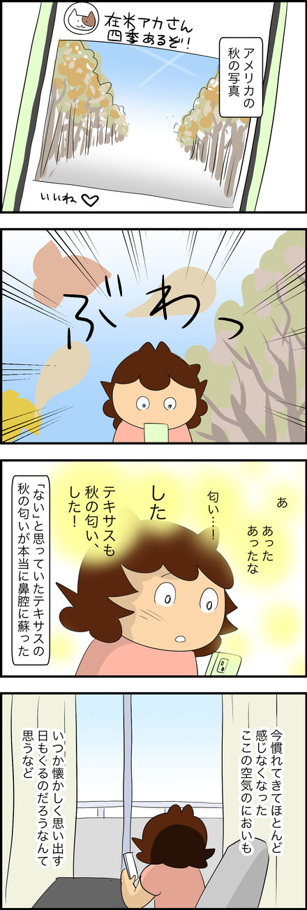 nov152025-2秋の匂い