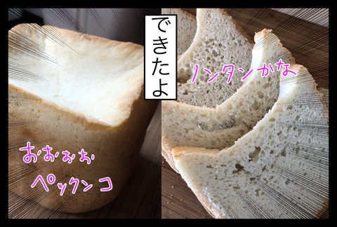 pan4-9