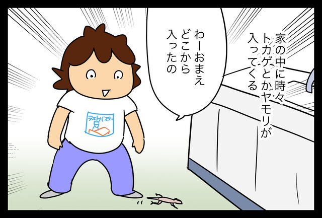 トカゲくん 食物連鎖 命の循環 蓼食う虫もテキサス Powered By ライブドアブログ トカゲくん 食物連鎖 命の循環 蓼食う虫もテキサス Powered By ライブドアブログ