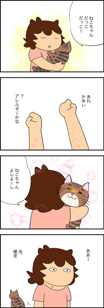 aug112023-1ねこちゃん虫