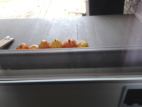 kabocha