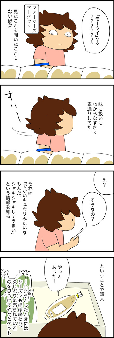 nov262025-1モーウイ