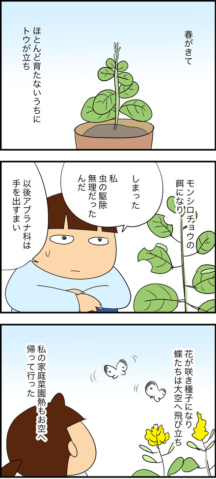 oct292025-3家庭菜園