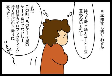 snow1-3