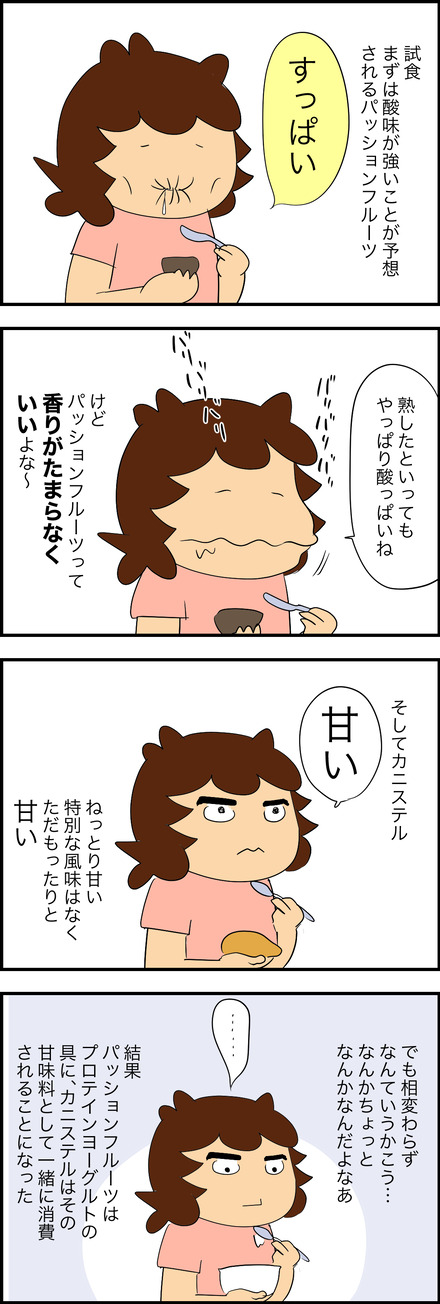 04232026-2カニステル